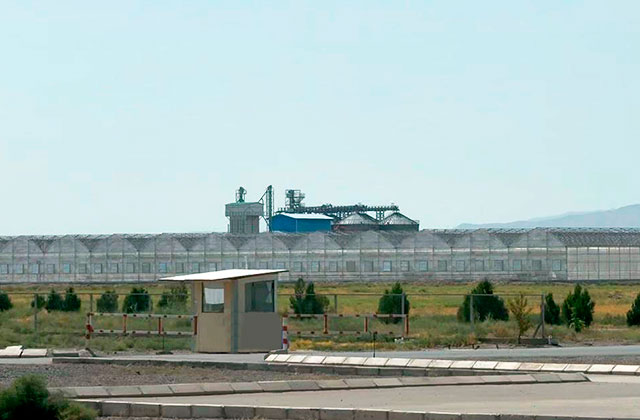 Энергия для урожая и цветения в Туркменбаши